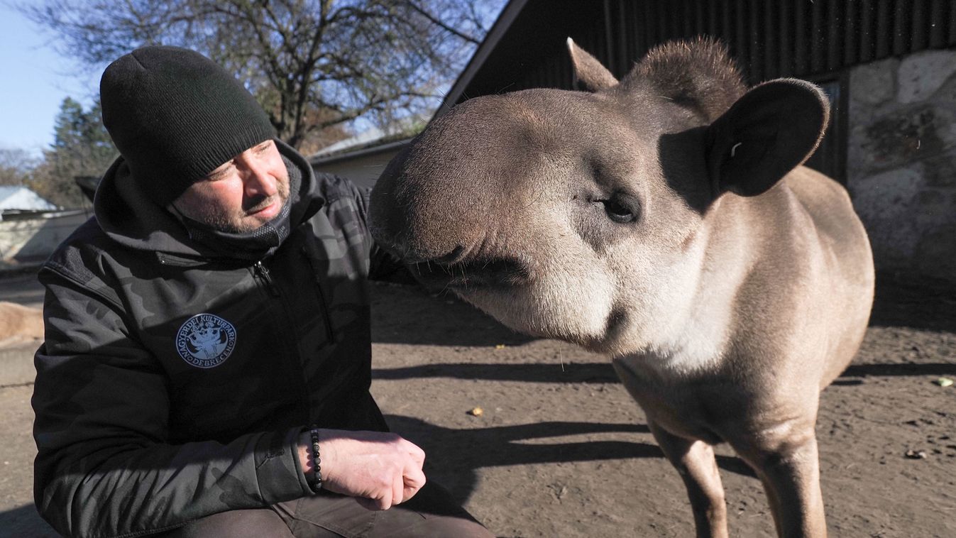 Hiányolják látogatóikat a debreceni állatkert lakói – fotókkal