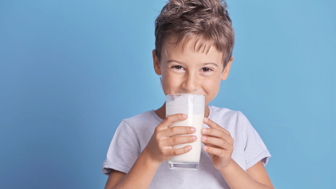 Tej Terméktanács: vitathatatlan a tejtermékek szerepe az egészséges táplálkozásban
