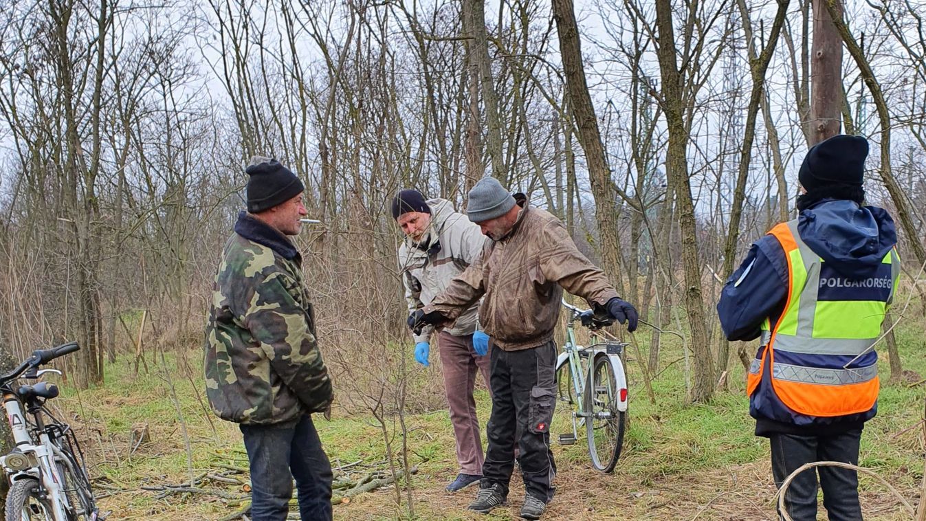 Nem érdemes illegálisan fához jutni