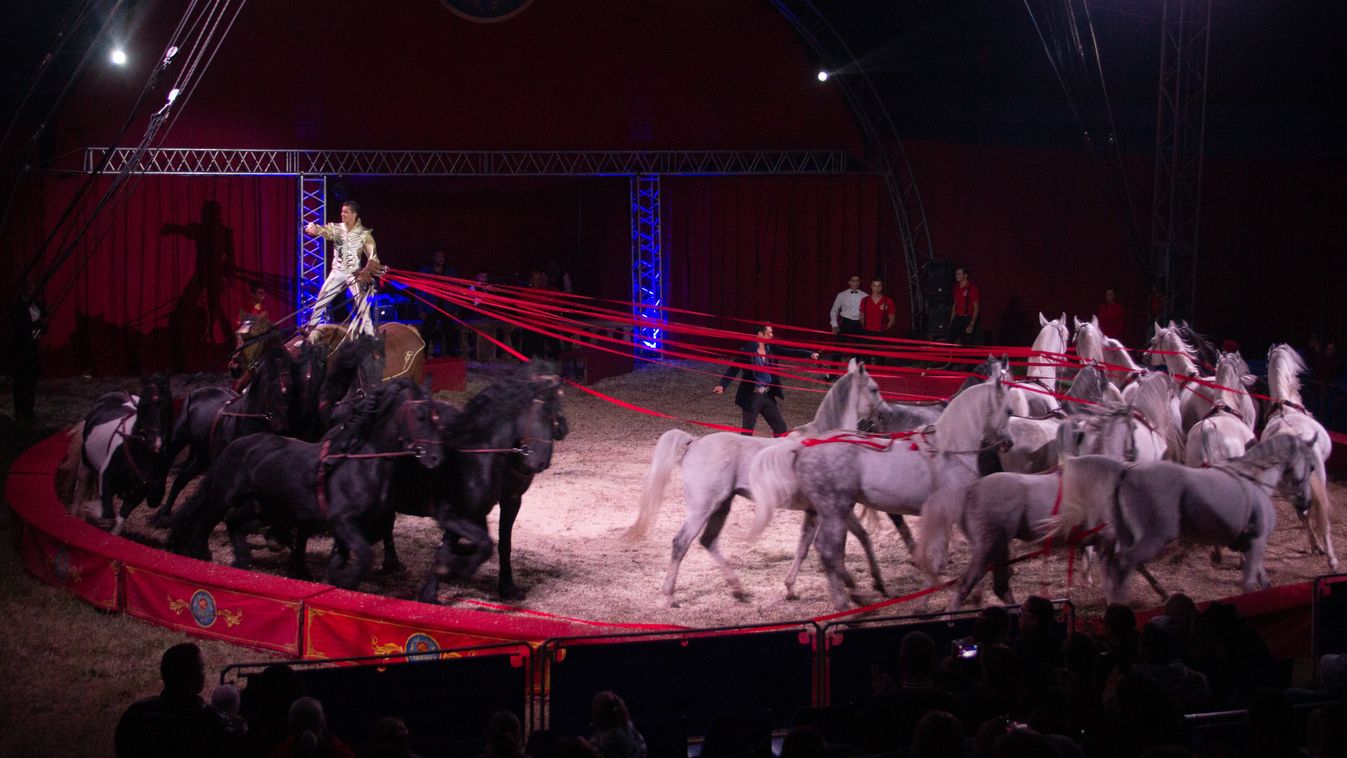 Cirkuszos rekord dőlt meg Debrecenben