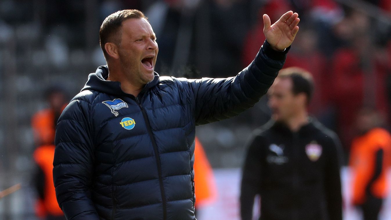 Dárdai: erkölcstelen, de jól fizető ajánlatokat kapok