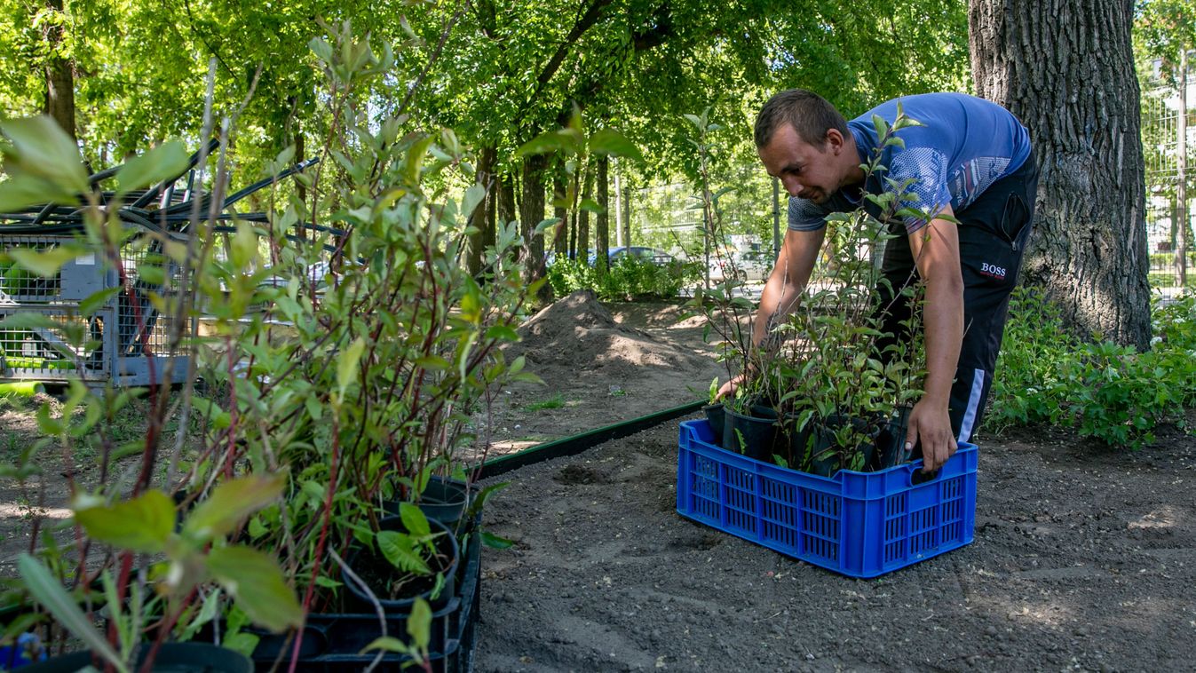 A kultúrpark veszi át a debreceni Sziget-kéket