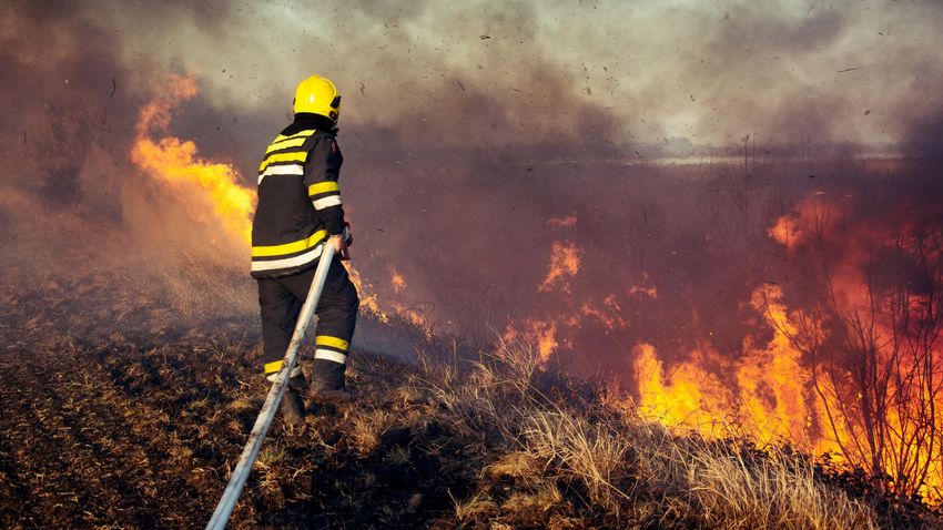 Φωτιά καταστρέφει το κέντρο της Ελλάδας, αρκετά χωριά χρειάστηκε να εκκενωθούν