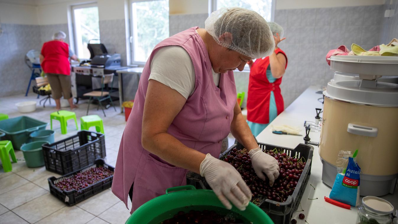 A községet építi, sőt, bevételt is teremthet
