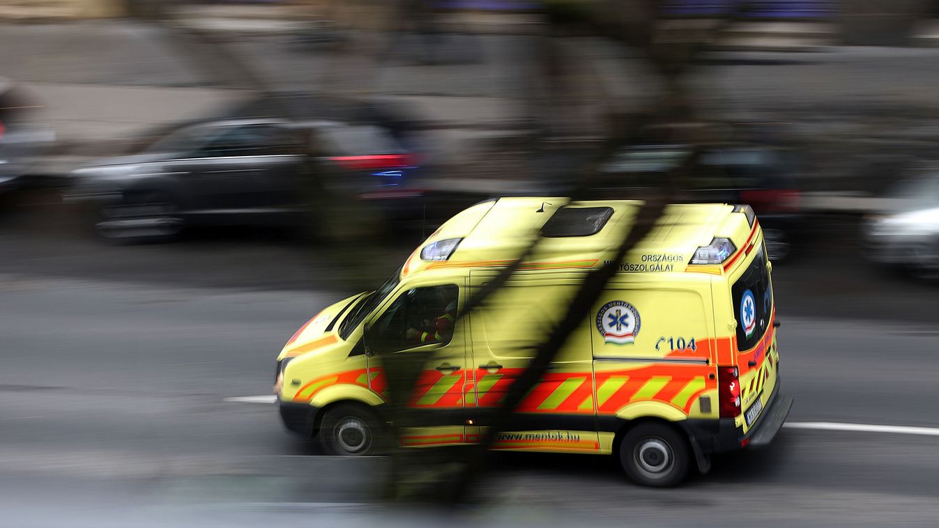 Szuperokos mesterséges aggyal küzd emberéletekért egy debreceni cég – teljesen ingyen