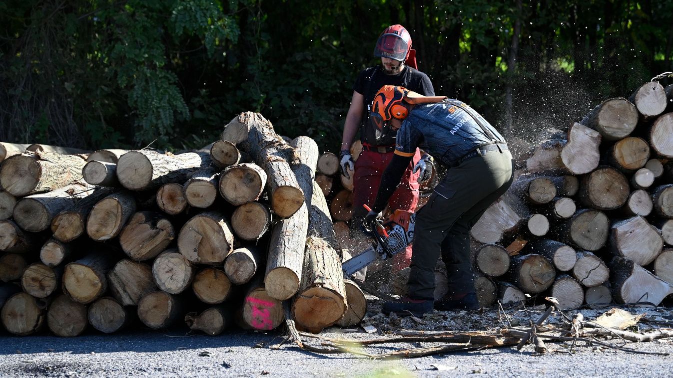 Folyamatos a tűzifa szállítása a szociális tüzelőanyag program keretében