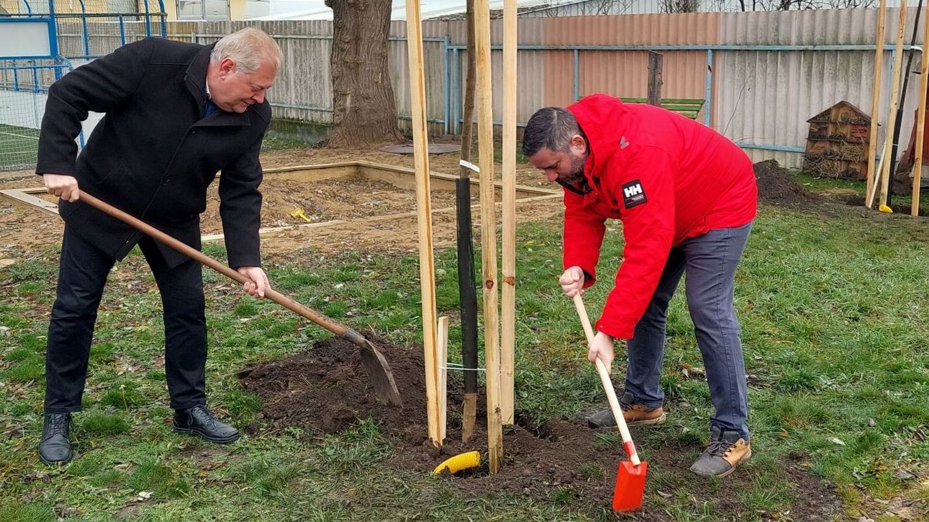 Fákat ültettek a szoboszlói óvodákban, a polgármester is segített