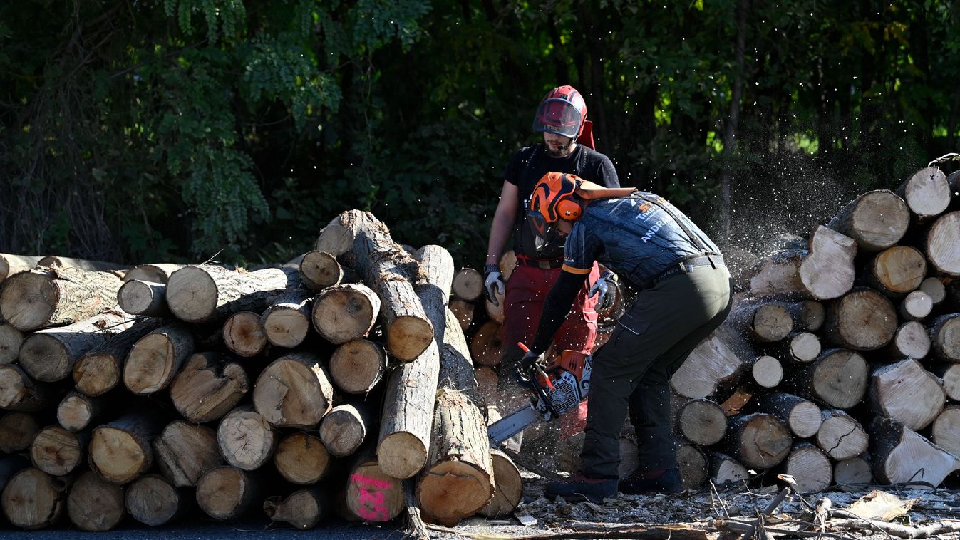Folyamatosan zajlik a szociális tűzifa osztása a kistelepülésen élő rászorulóknak
