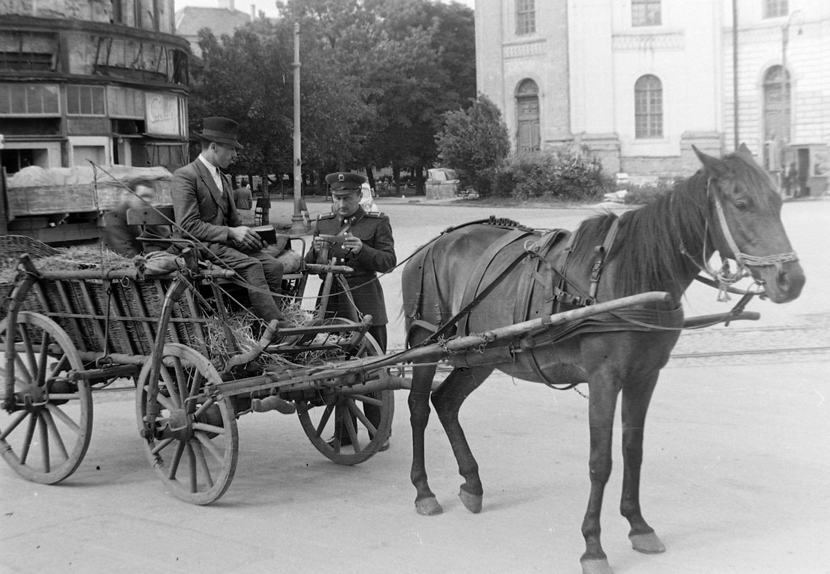 Lovas kocsi Debrecen Kossuth tér 1951 Fortepan