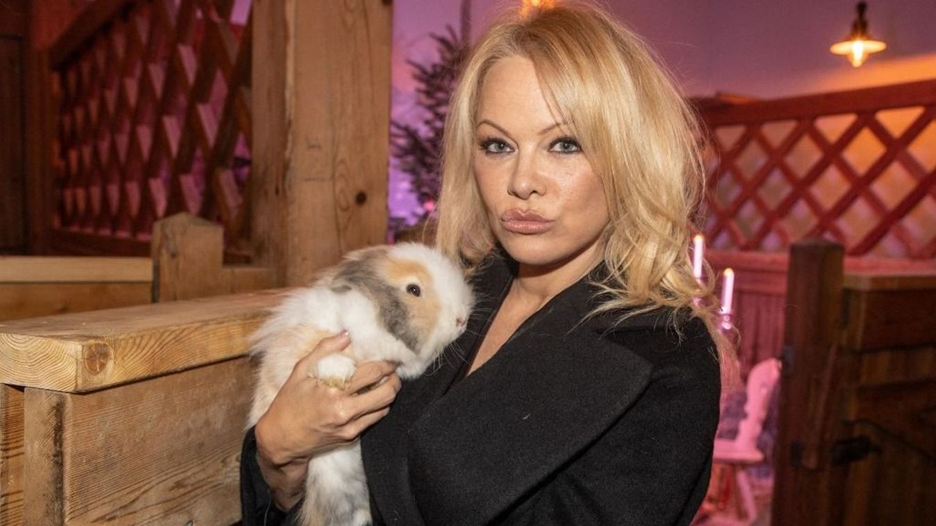 Micsoda dög! Évtizedes fotók kerültek elő Pamela Andersonról