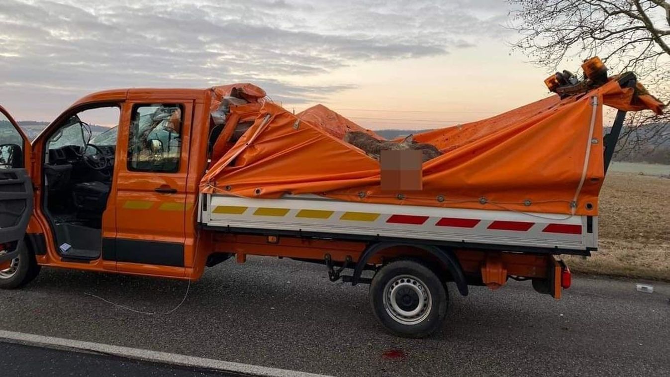 Szarvassal ütközött a Magyar Közút fiatal munkatársa, életveszélyes sérülésekkel vitték kórházba