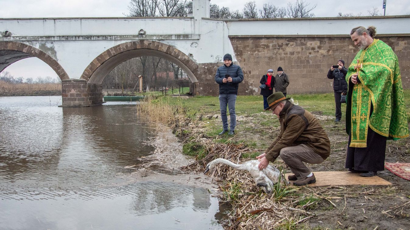 Több ezer madár életét mentették meg