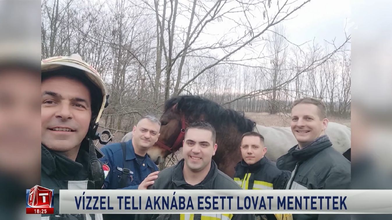Legelés közben történhetett meg a baj: így van most Báró, a Vámospércsnél aknába pottyant csikó – videóval