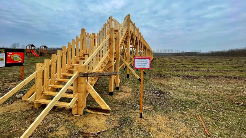 HAON - Hamarosan újratelepítik az erdőt a nyírmártonfalvai ...