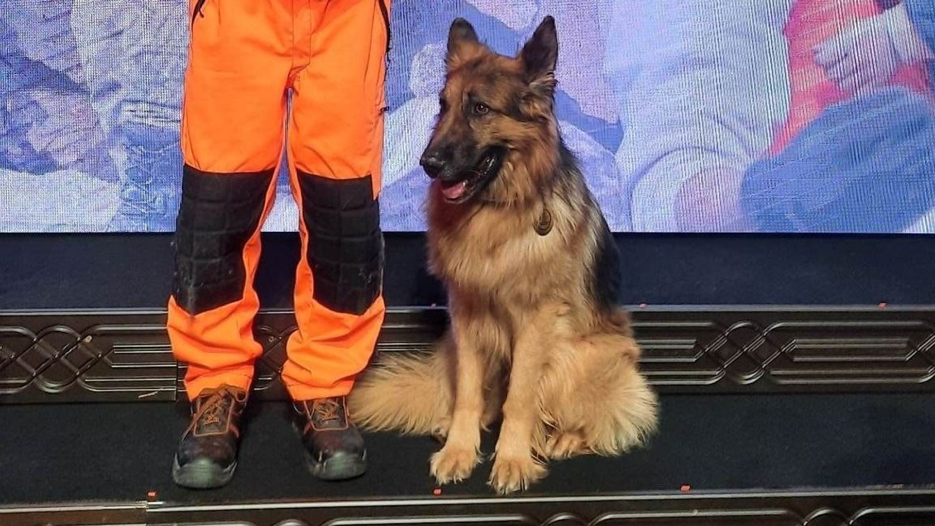 Az életmentő Hope komoly kitüntetést kapott a törökországi munkájáért