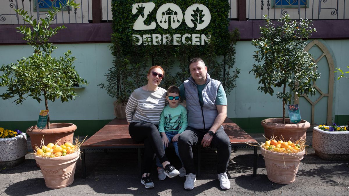 Debrecen zoo citrusnapok Molnár haon