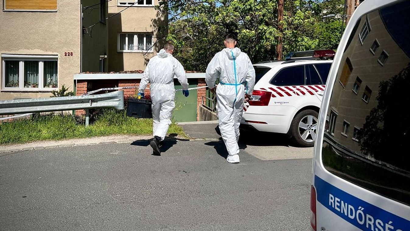 Brutális módon megöltek egy idős asszonyt a Rózsadombon, a fia sokkot kapott, amikor megtalálta