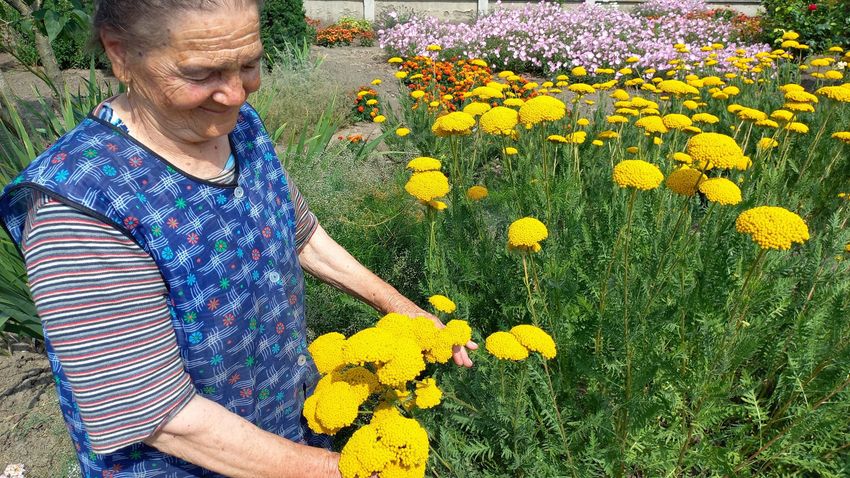 HAON – Szíve-lelke, élete, de még neve is a kerthez köti a lassan 90 éves földesi Erzsike nénit