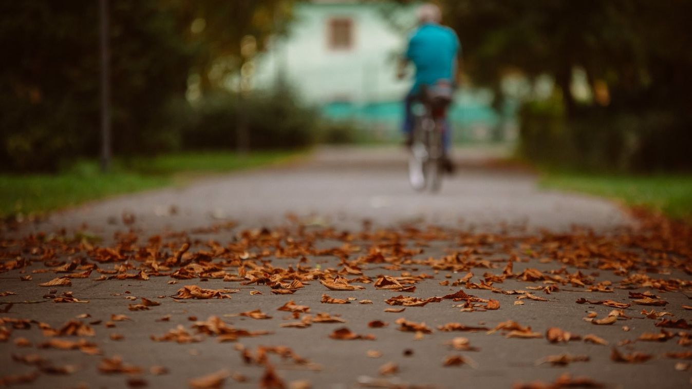Nem hazudtolja meg magát a november, őszi időre számíthatunk