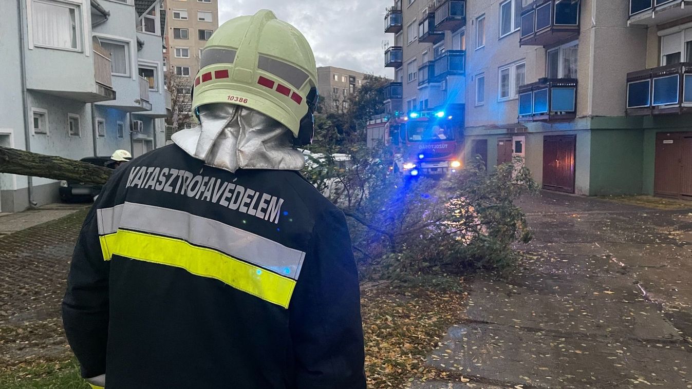 Kettéhasadt egy húszméteres fa a debreceni Derék utcában