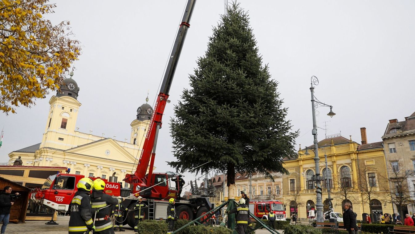 Megérkezett Debrecen karácsonyfája a Kossuth térre – fotókkal, videóval