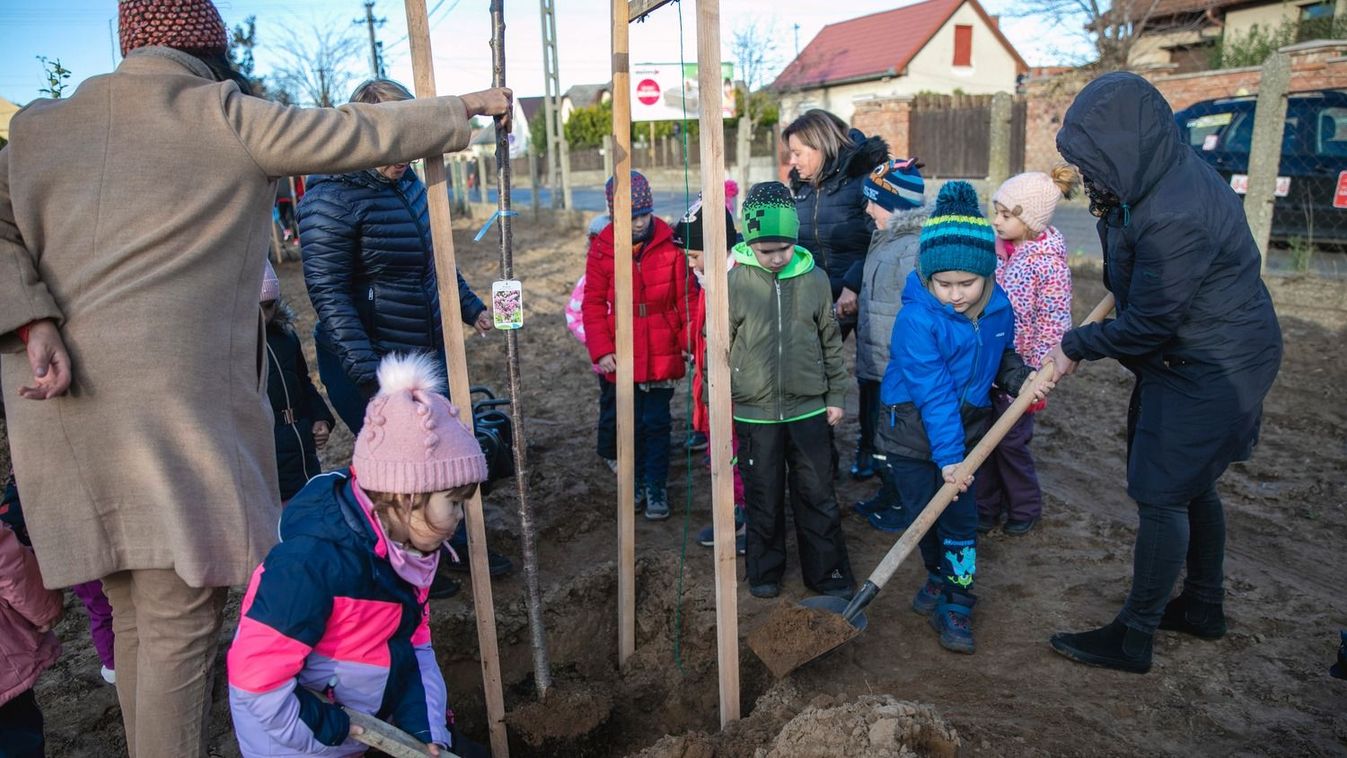 Közösségi térben közösségi ültetés – Debrecen új ligete benépesült - fotókkal