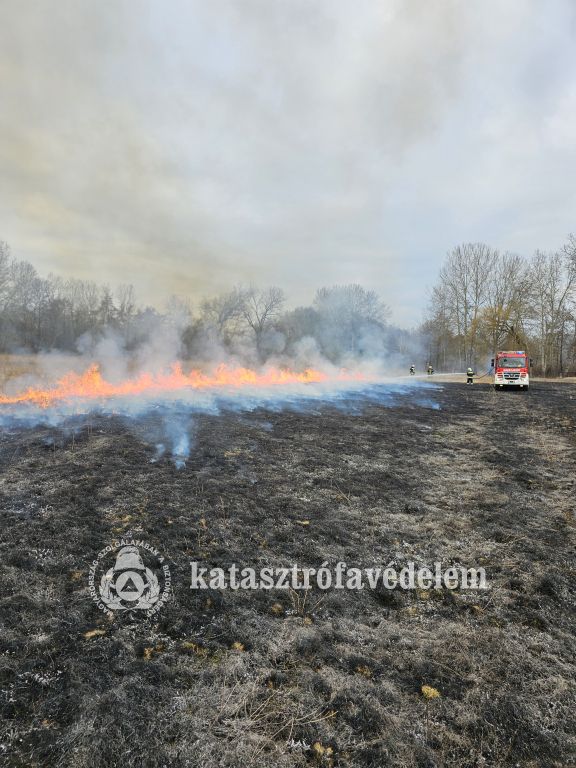 tűzoltó, katasztrófavédelem, tűz