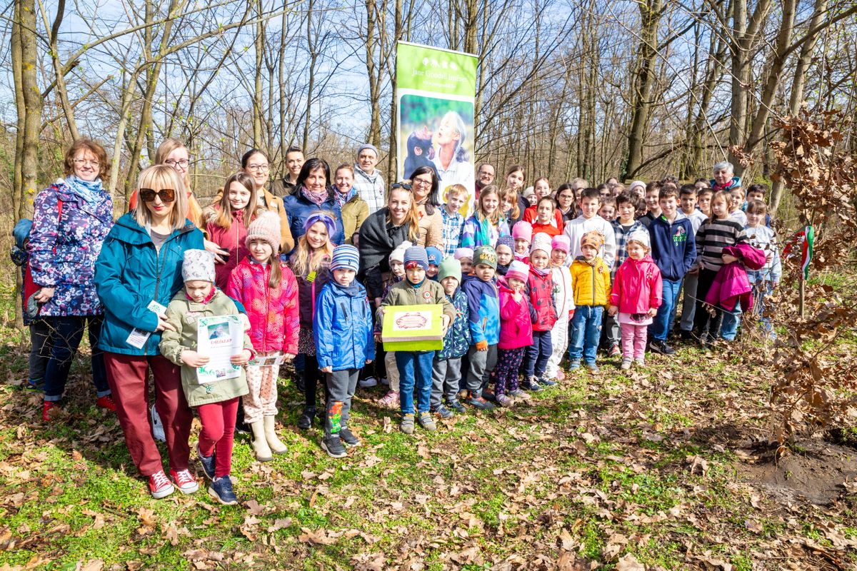 Debreceni gyerekek ültettek fát Jane Goodall 90. születésnapja alkalmából