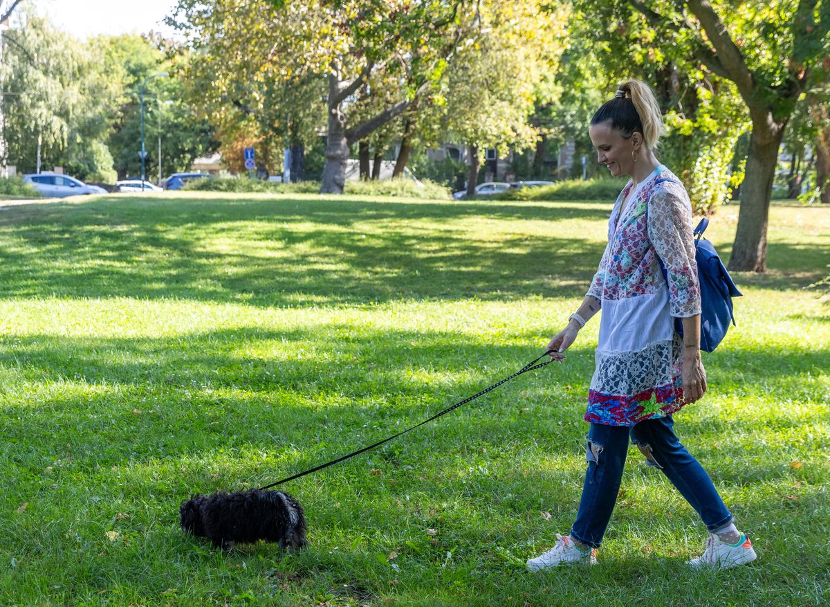 Debrecen Akár városi parkban is kullancs ragadhat kedvencünkbe haon