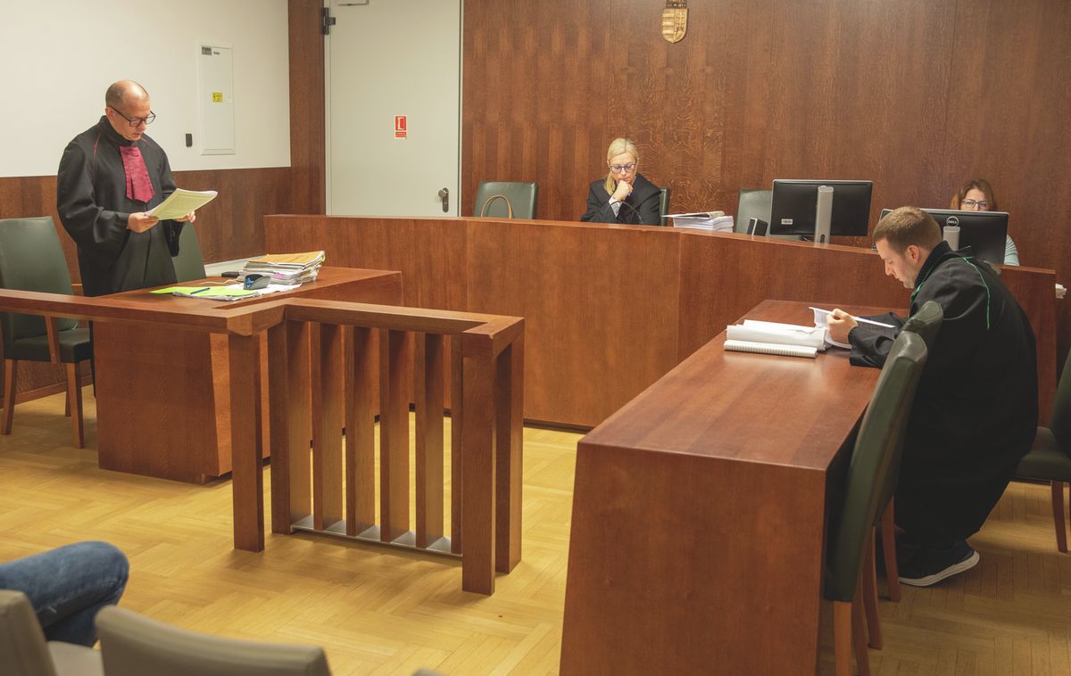 Süvöltős Zsuzsa bíró tárgyalja az ügyet