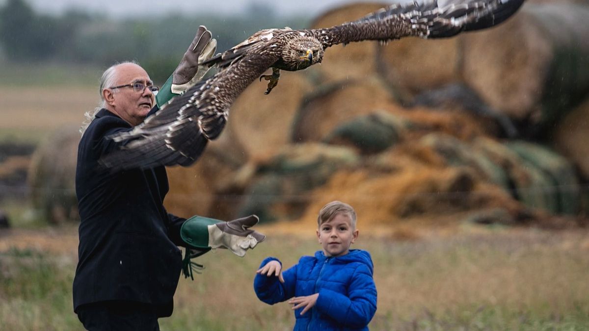 Déri János és Noé egy gyógyult madarat engedtek szabadon az eseményen Hortobágy sínkereszt haon