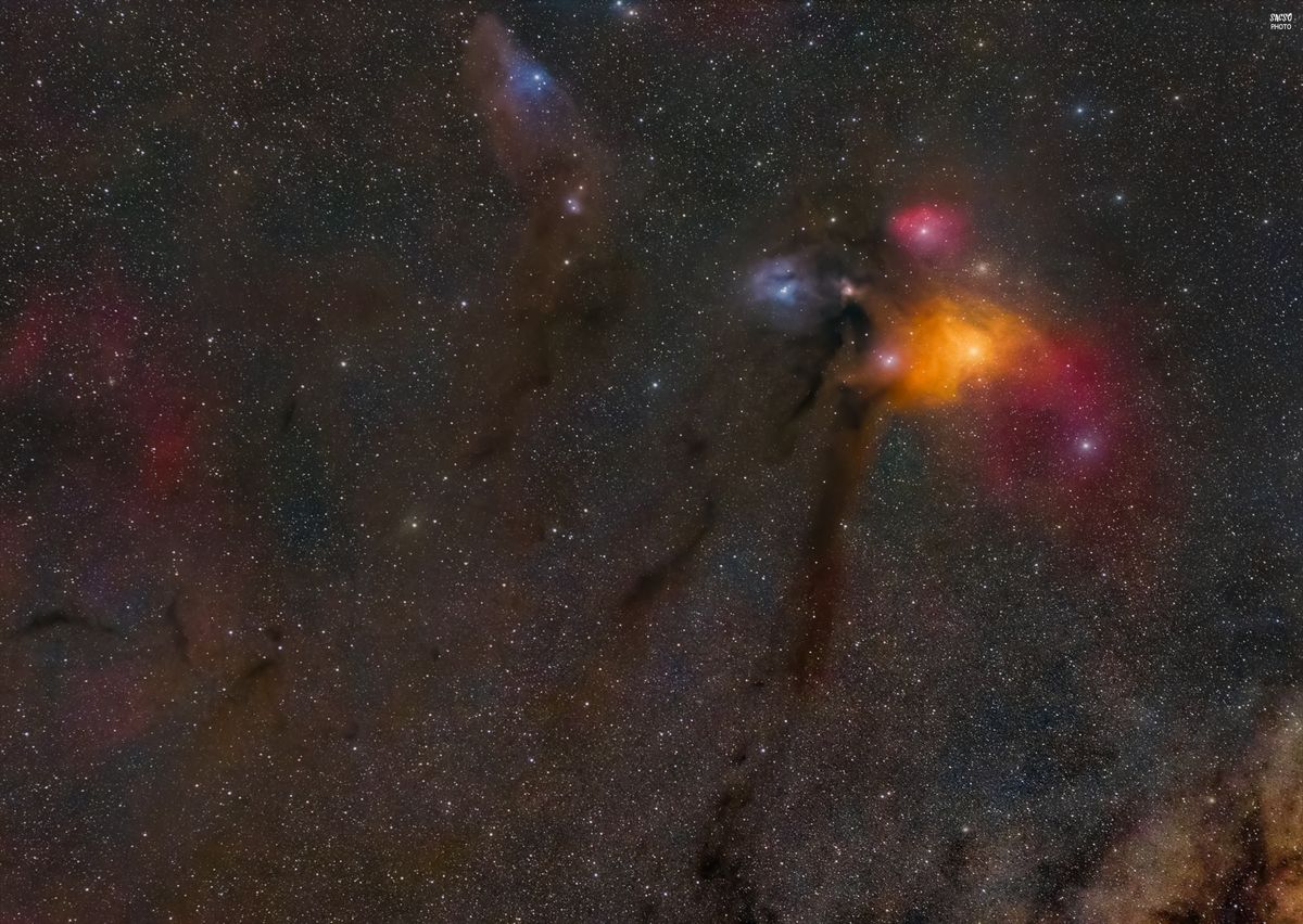 A Rho Ophiuchiról és az Antares-régióról készült csodálatos fotó