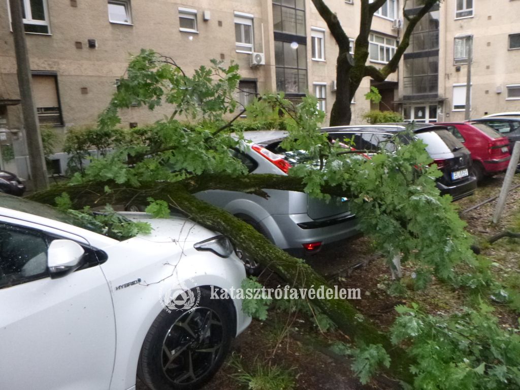 Vihar Debrecenben: autóra szakadt faág miatt is riasztották a tűzoltókat