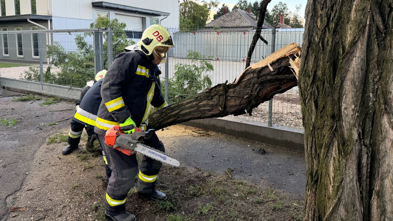 HAON – Storm injury in Hajdú-Bihar