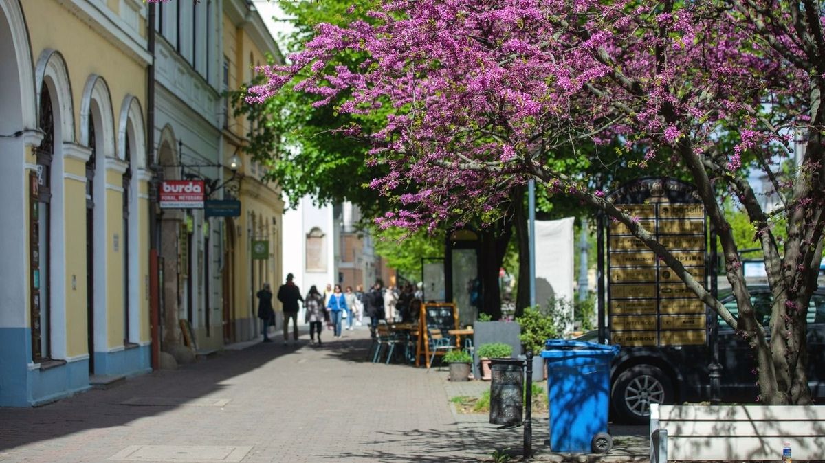 Az incidens Debrecen belvárosában történt