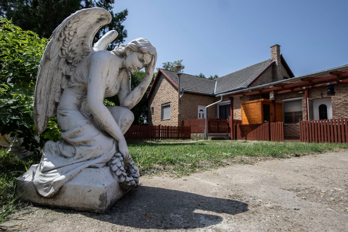 ványi ranch, földes, só, jószág, birka, tyúk