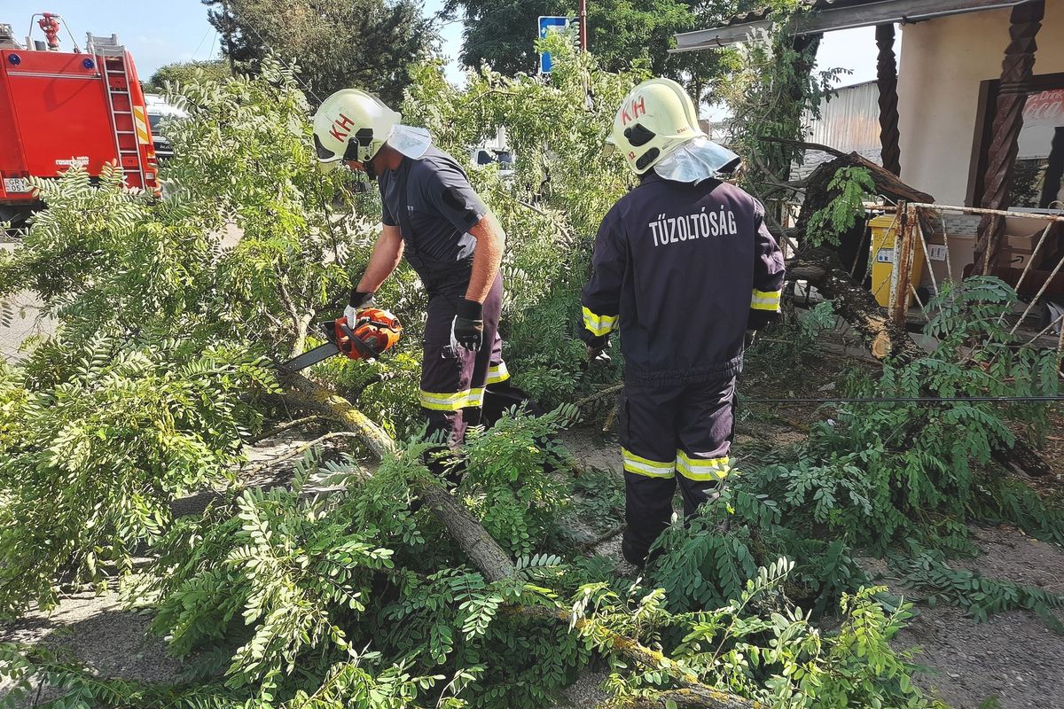 Debrecenben két helyre is riasztották a tűzoltókat lehasadt faágak miatt