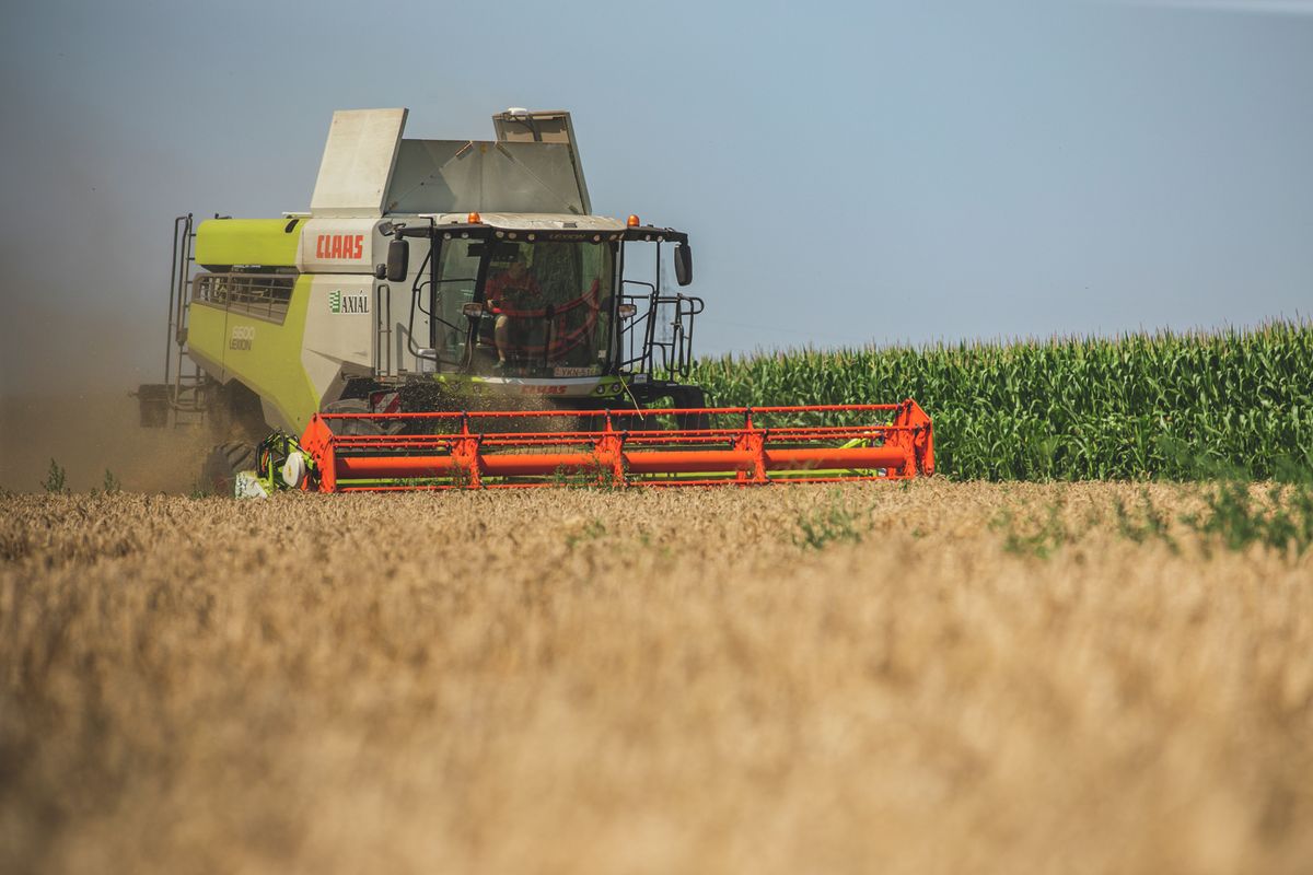 aratás, búza, árpa, Hajdú-Bihar, Nemzeti Agrárgazdasági Kamara, betakarítás