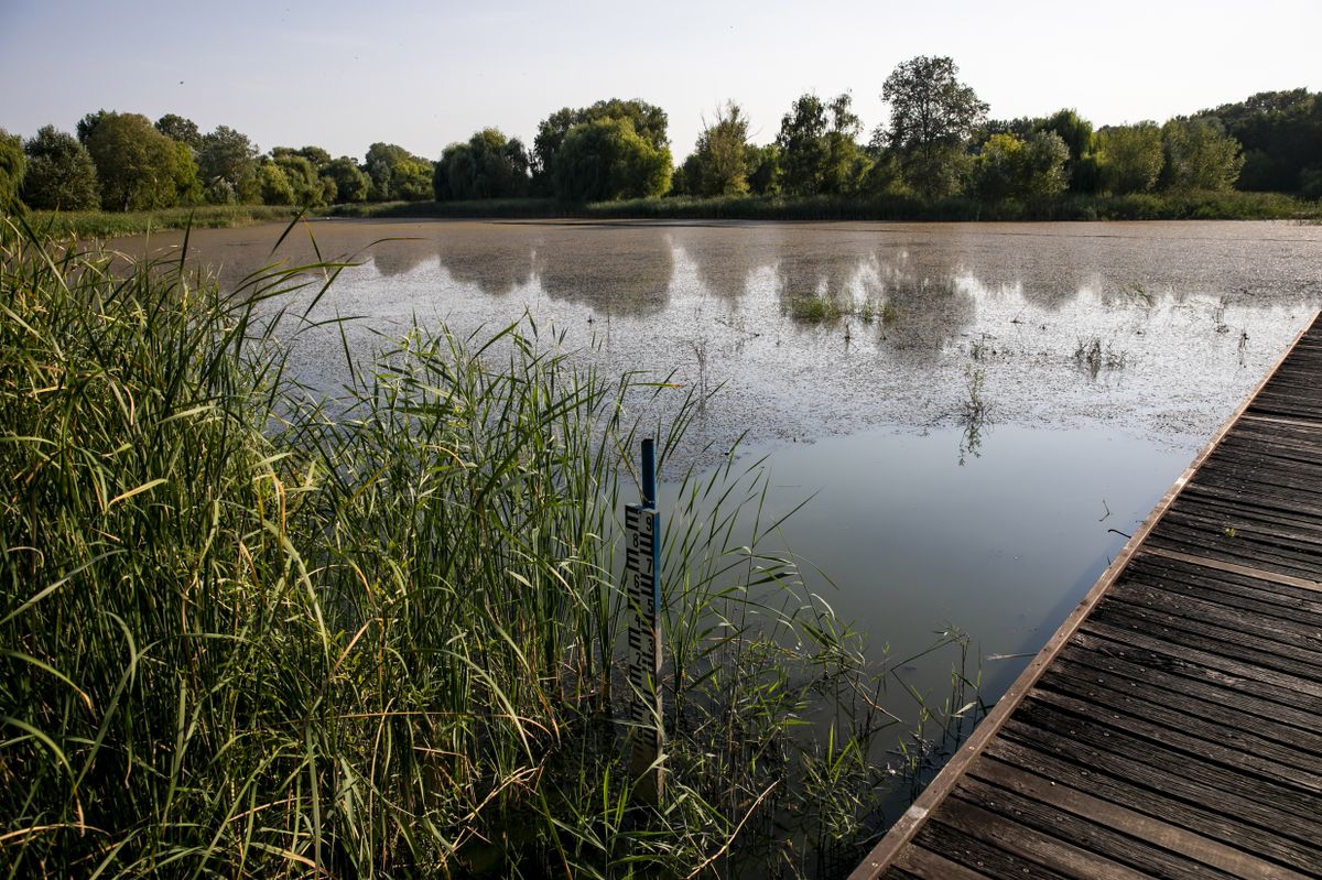 Vekeri-tó Debrecen haon