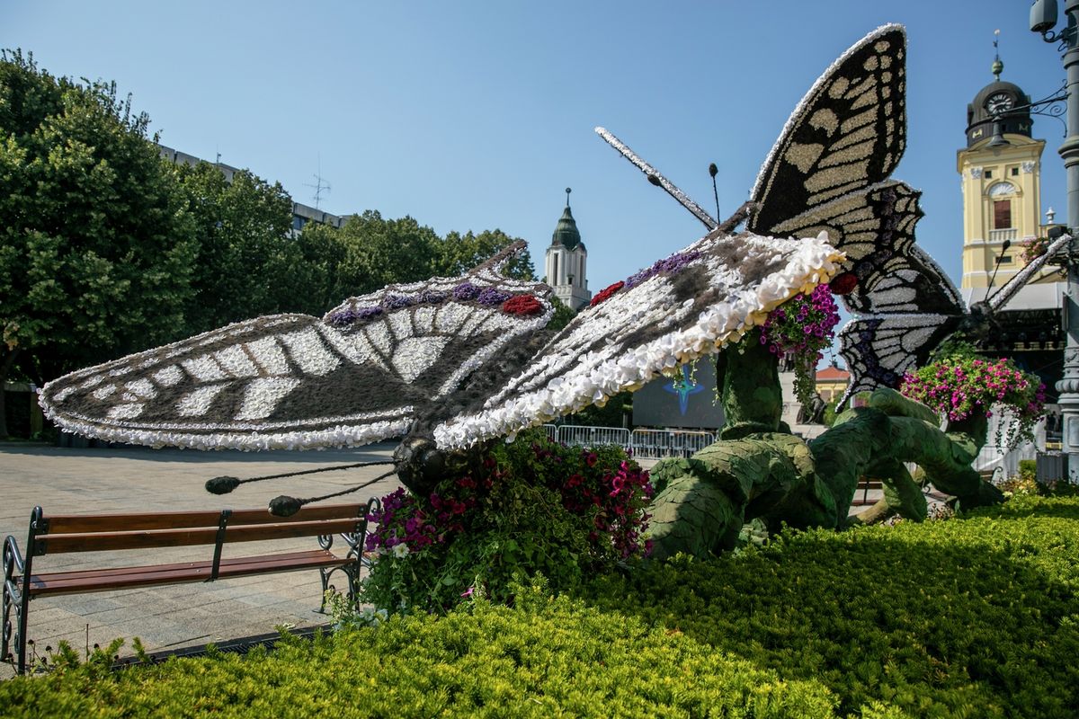 Debrecen karnevál haon