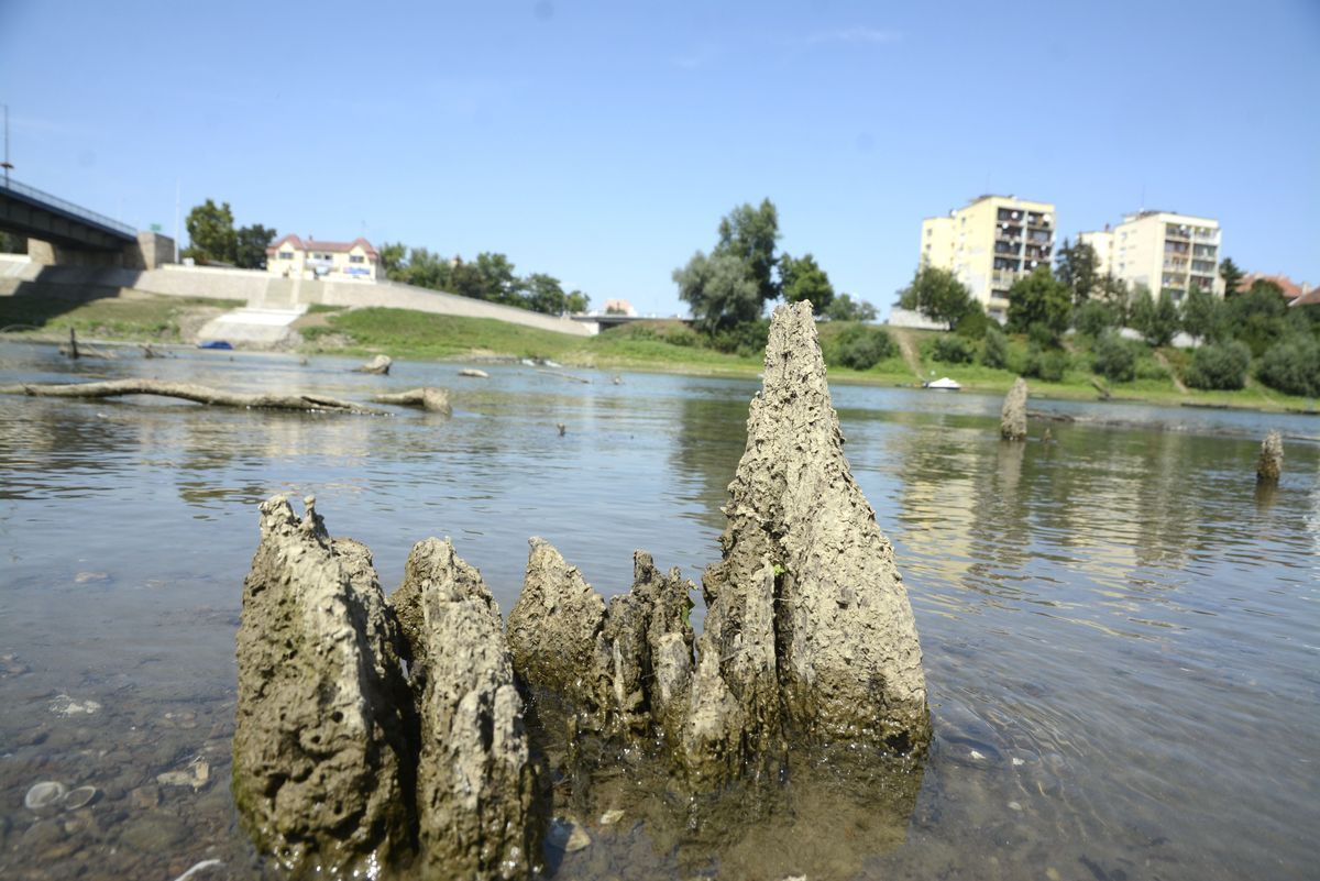 Újra látni a török kori híd maradványait a Tisza folyóban, Szolnoknál