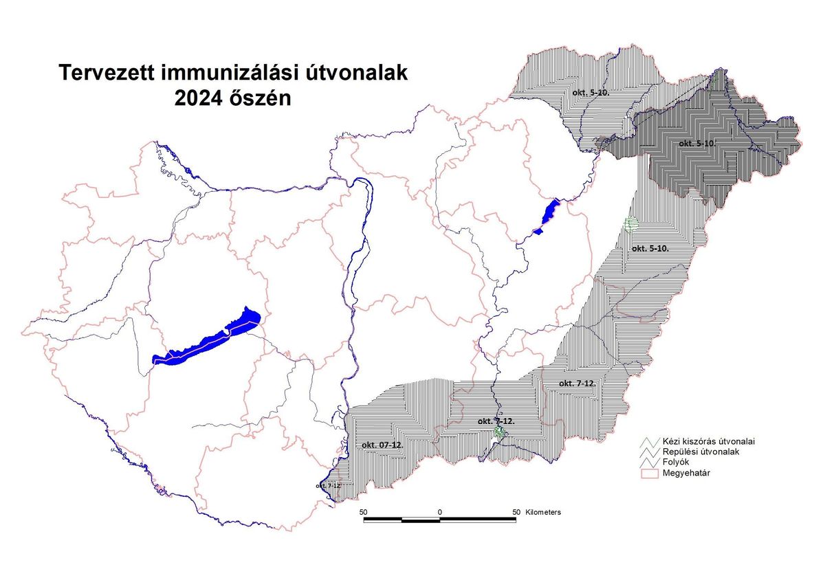 Hajdú-Biharban is indul a rókavakcinázás