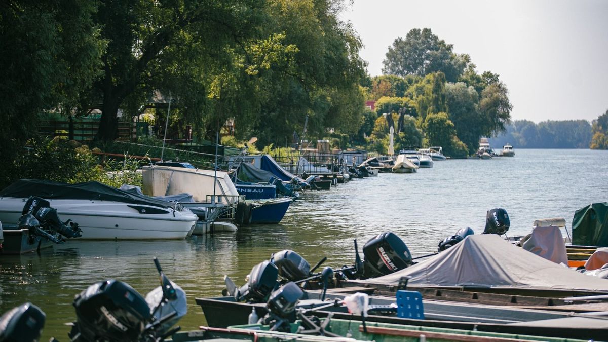 Őszi nyugalom a Keleti-főcsatorna és a Tisza Partjain