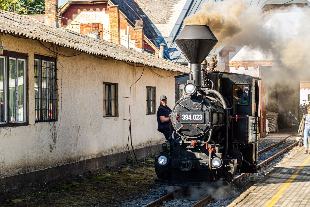 Több izgalmas programmal is vár hétvégén Zsuzsi Erdei Vasút 