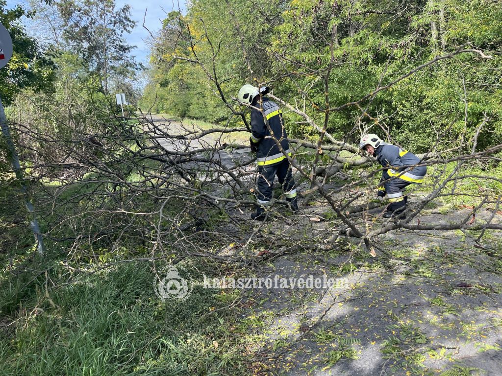 Főleg a szél miatt vonult vasárnap a katasztrófavédelem, de kigyulladt autóhoz is hívták őket