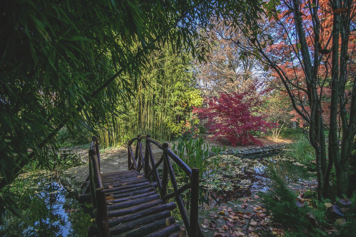 őszi teendők a kertben Debrecen haon