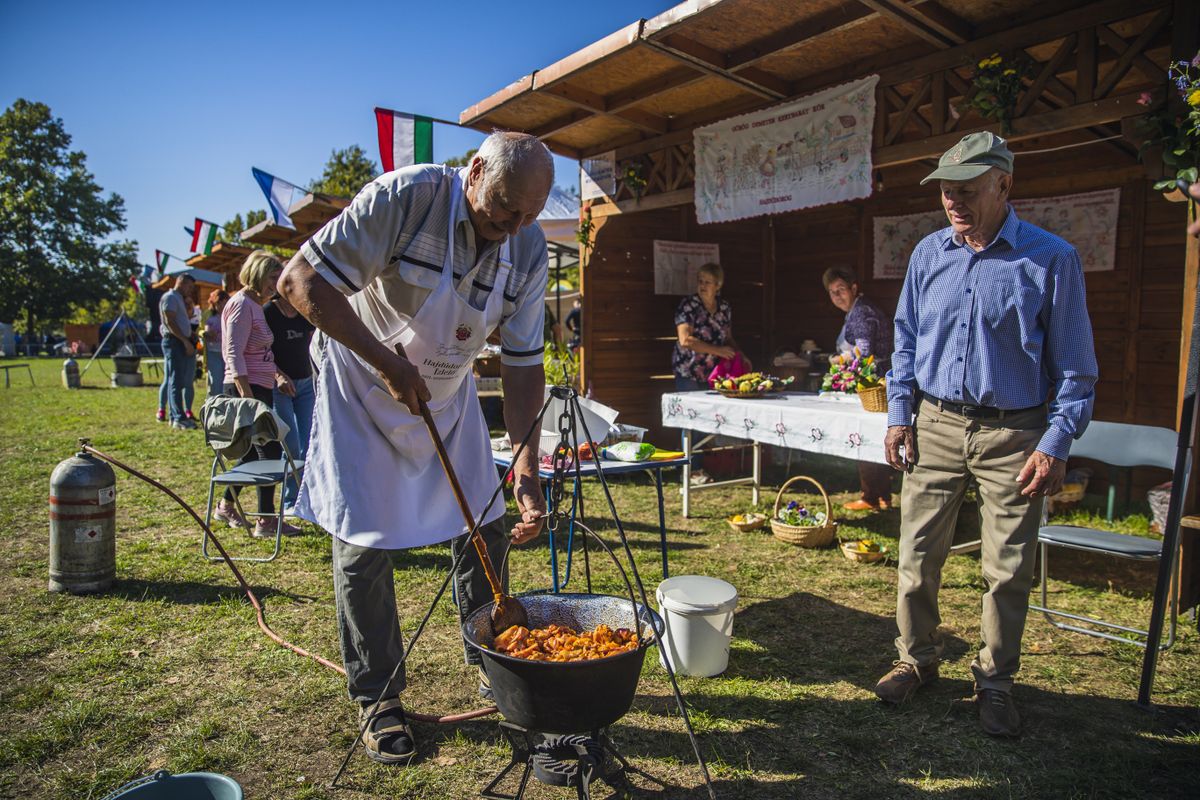 Hajdúdorogi Ízlelő haon