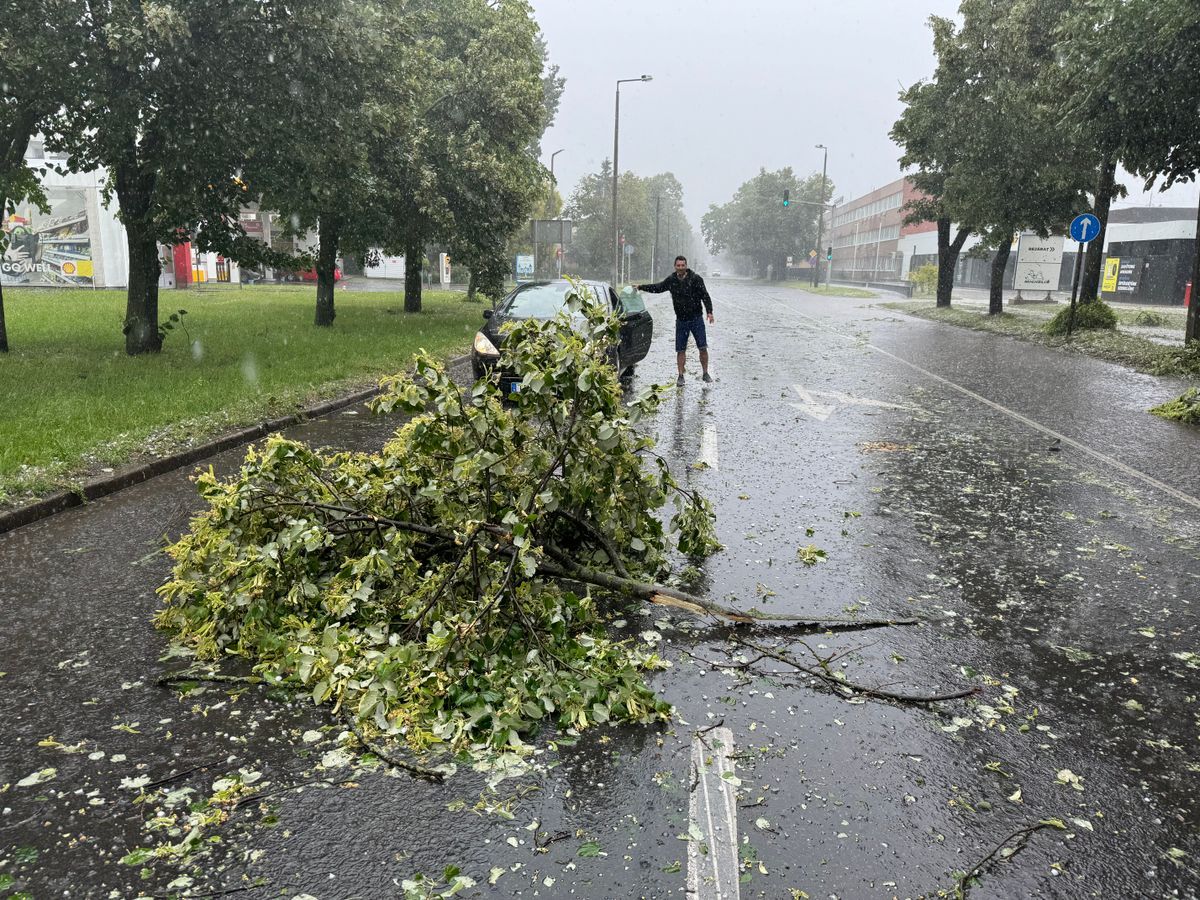 Útra szakadt faág Debrecenben a június 1-i vihar után