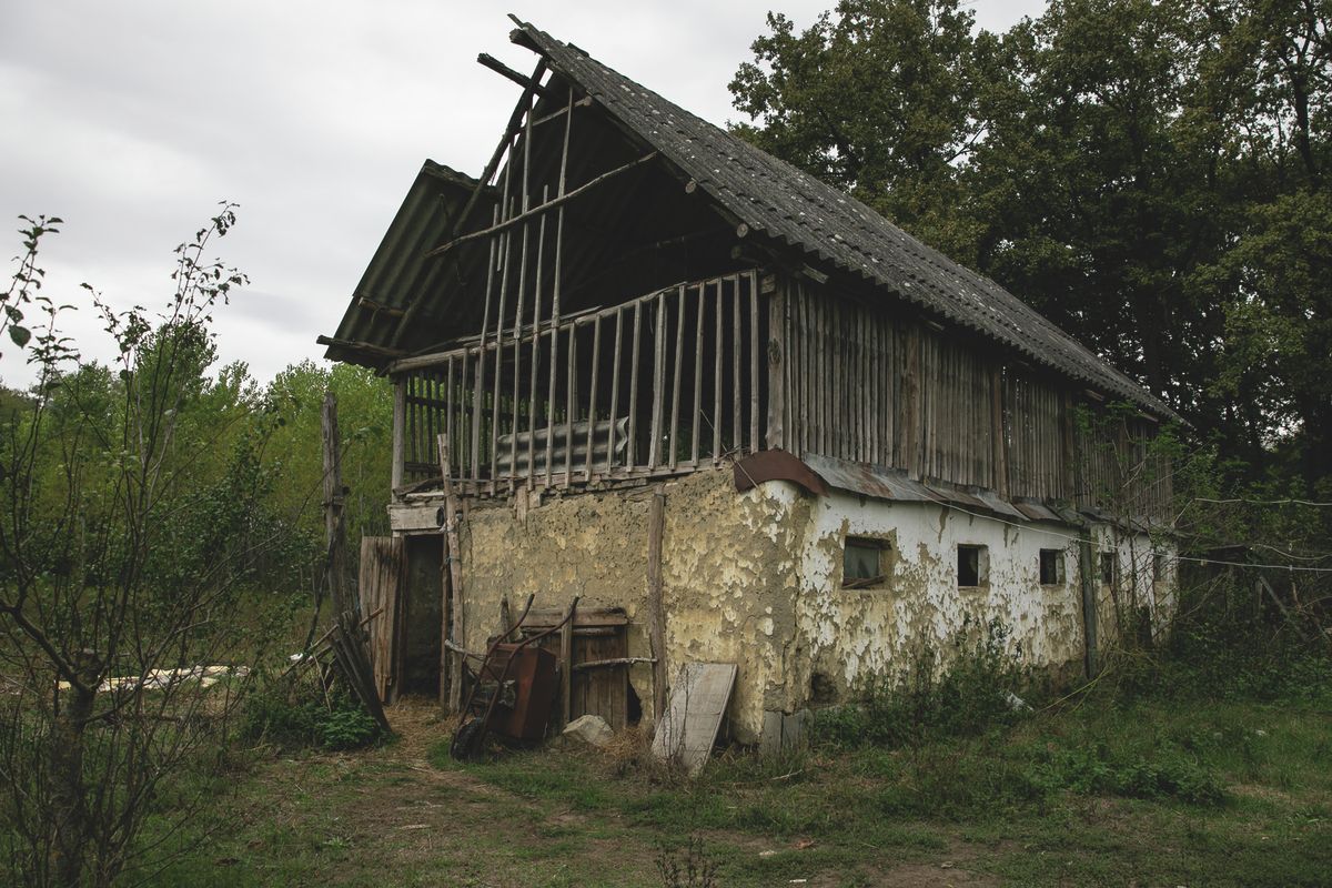 Medvetámadás, hajdú-bihar, nyírmártonfalva