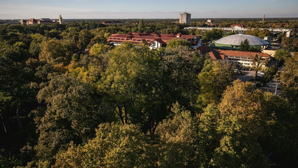 Az időjárás ma is tökéletes egy nagyobb sétához